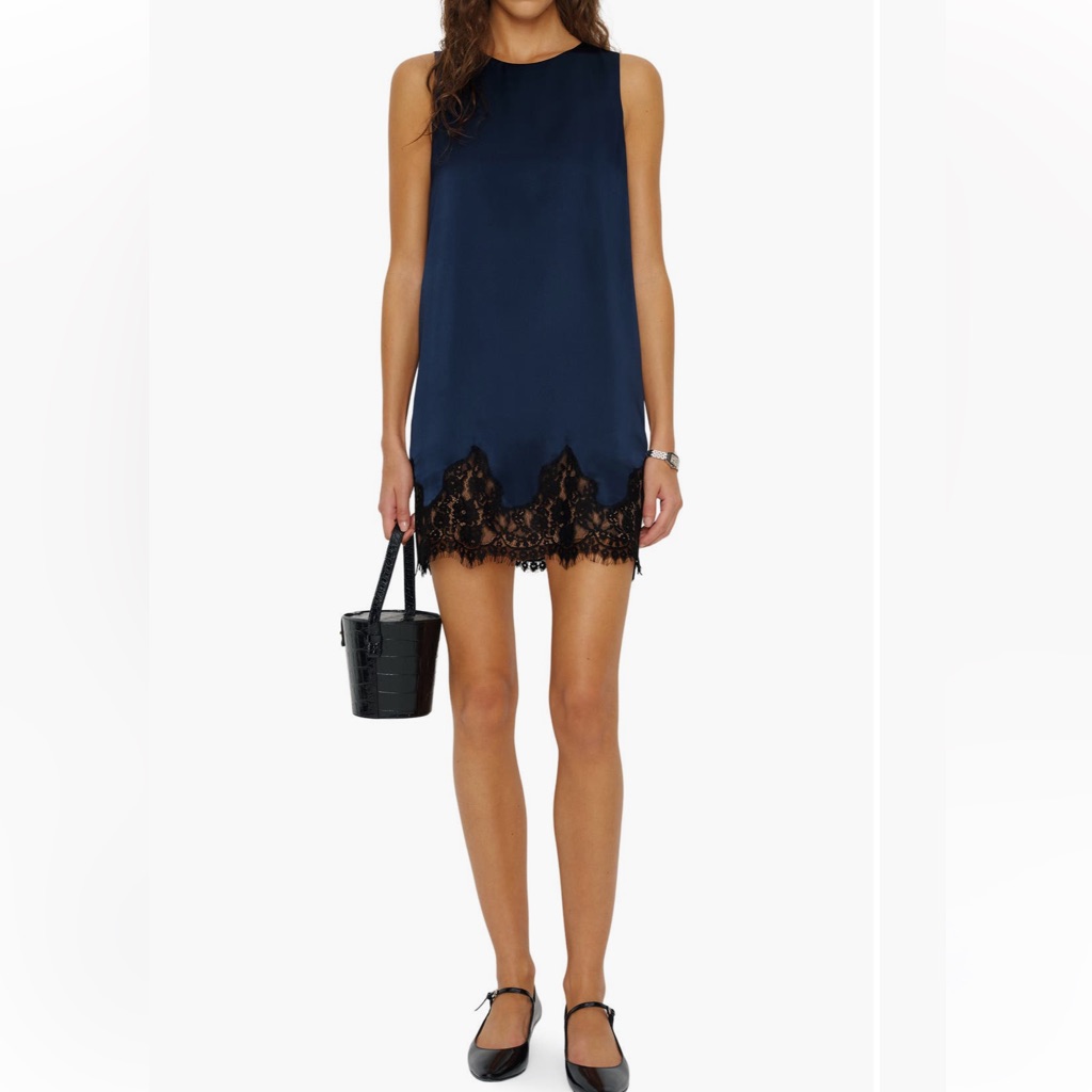 Reformation New Jessalyn Sleeveless Lace Silk Minidress Largeread Descrptions